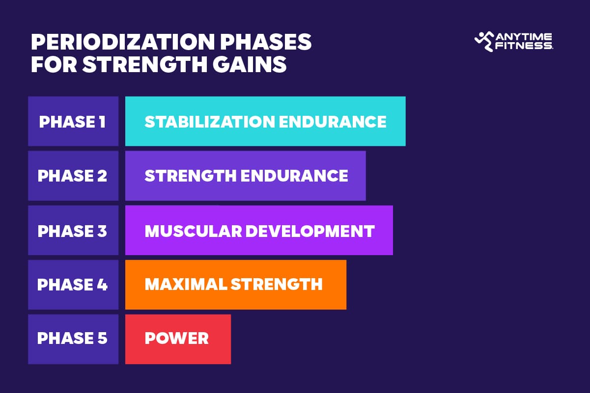 The five periodization training phases for strength gains are shown in a purple, horizontal-oriented chart.