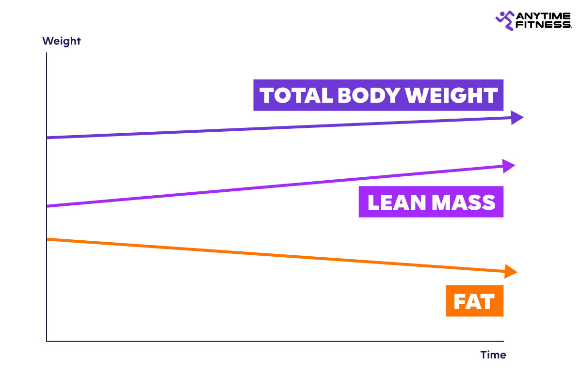 A graph shows how the Evolt 360 body scanner reveals progress over time relating to these metrics: total body weight, lean mass, and fat.