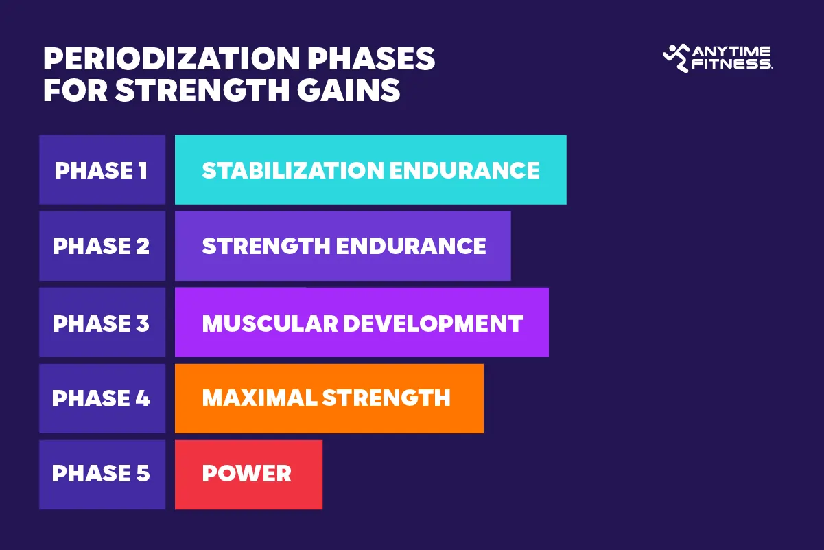 Understanding the difference between strength vs. muscle mass with the five phases of periodization training: stabilization endurance, strength endurance, muscular development, maximal strength, and power.