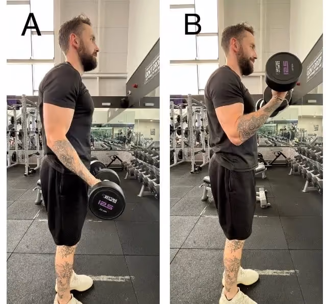 Abicep curl in two stages: starting position (A) with dumbbell at side and lifted position (B) with dumbbell raised.