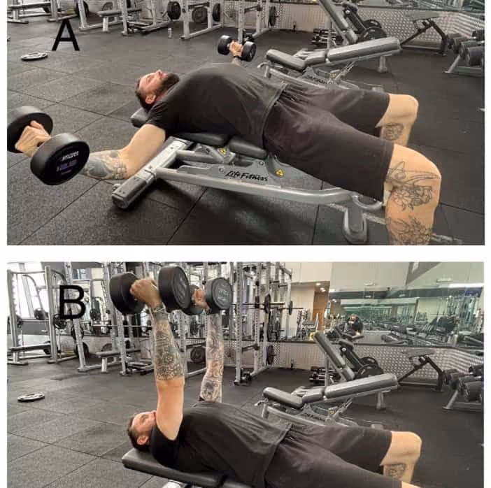 Chest press with dumbbells. Image A shows arms lowered; Image B shows arms extended upwards.