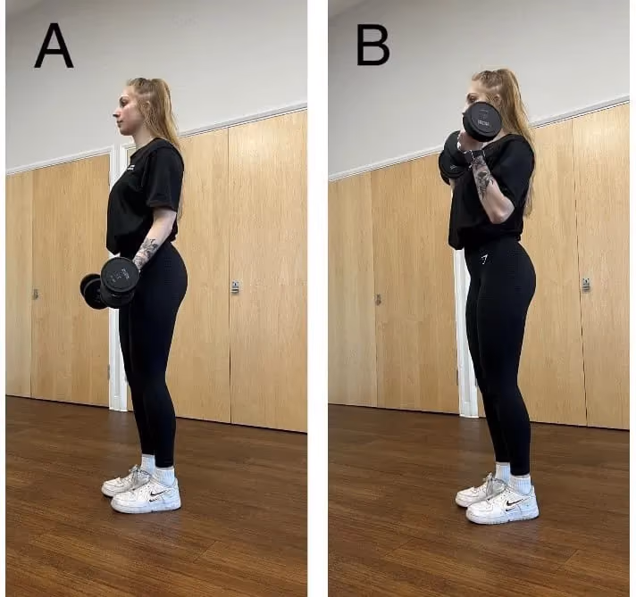 Dumbbell curl: In A, arms are down; in B, arms are bent.