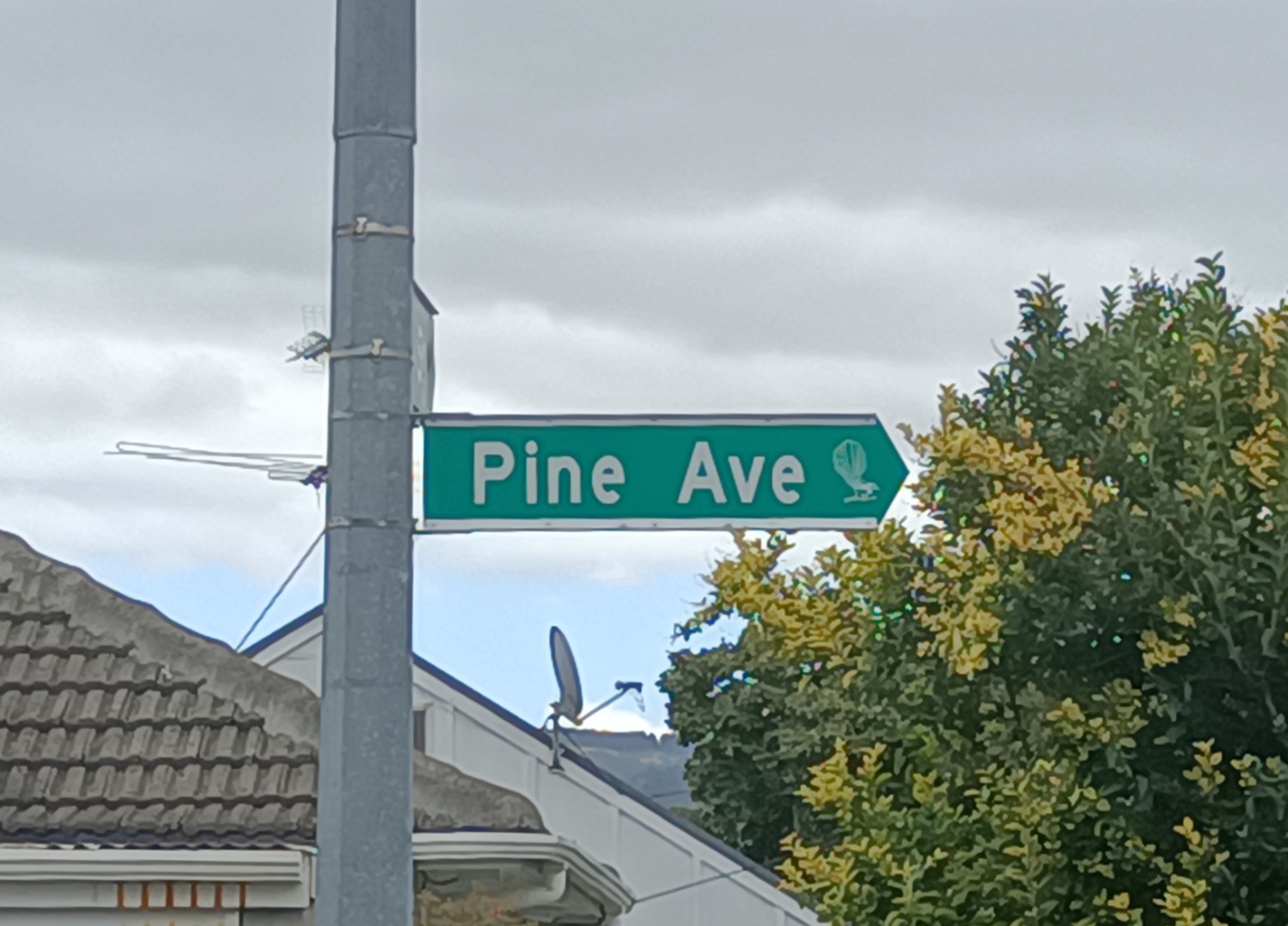 1/63a Pine Avenue, Ebdentown