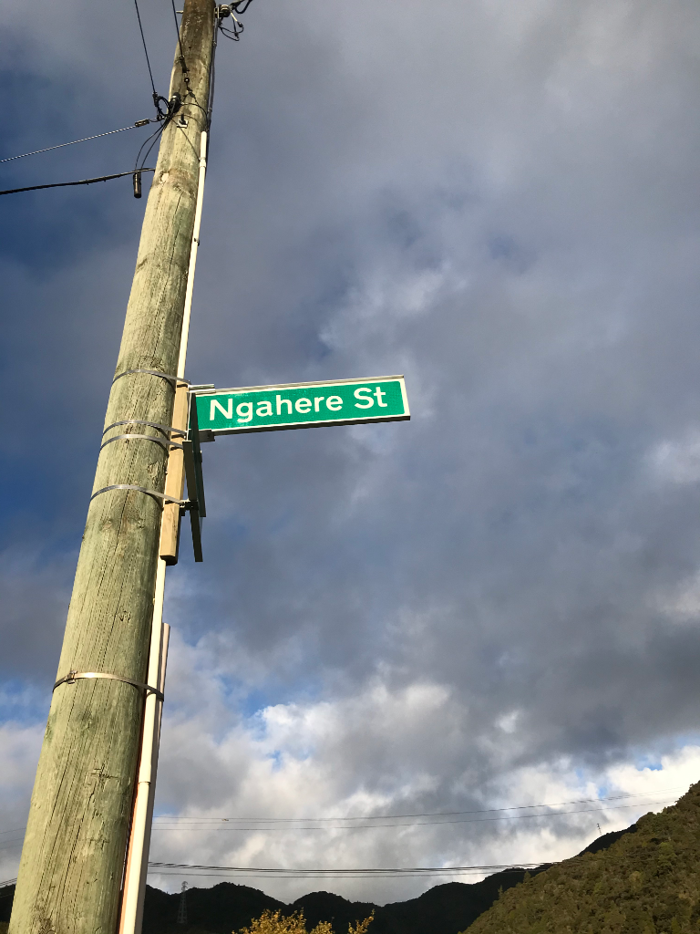 16 Ngahere Street, Stokes Valley