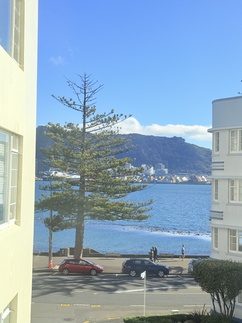 2a/274 Oriental Parade, Oriental Bay
