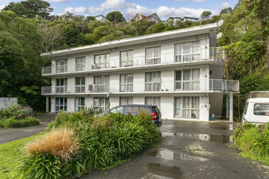3/29 Waiapu Rd, Kelburn