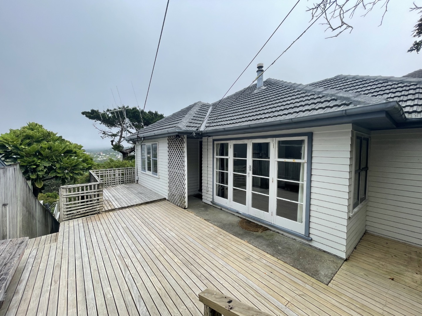 50 Bedford Street, Northland