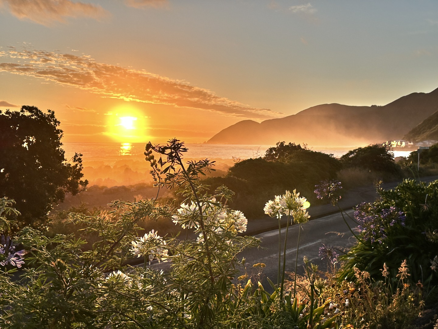 438 The Esplanade, Island Bay