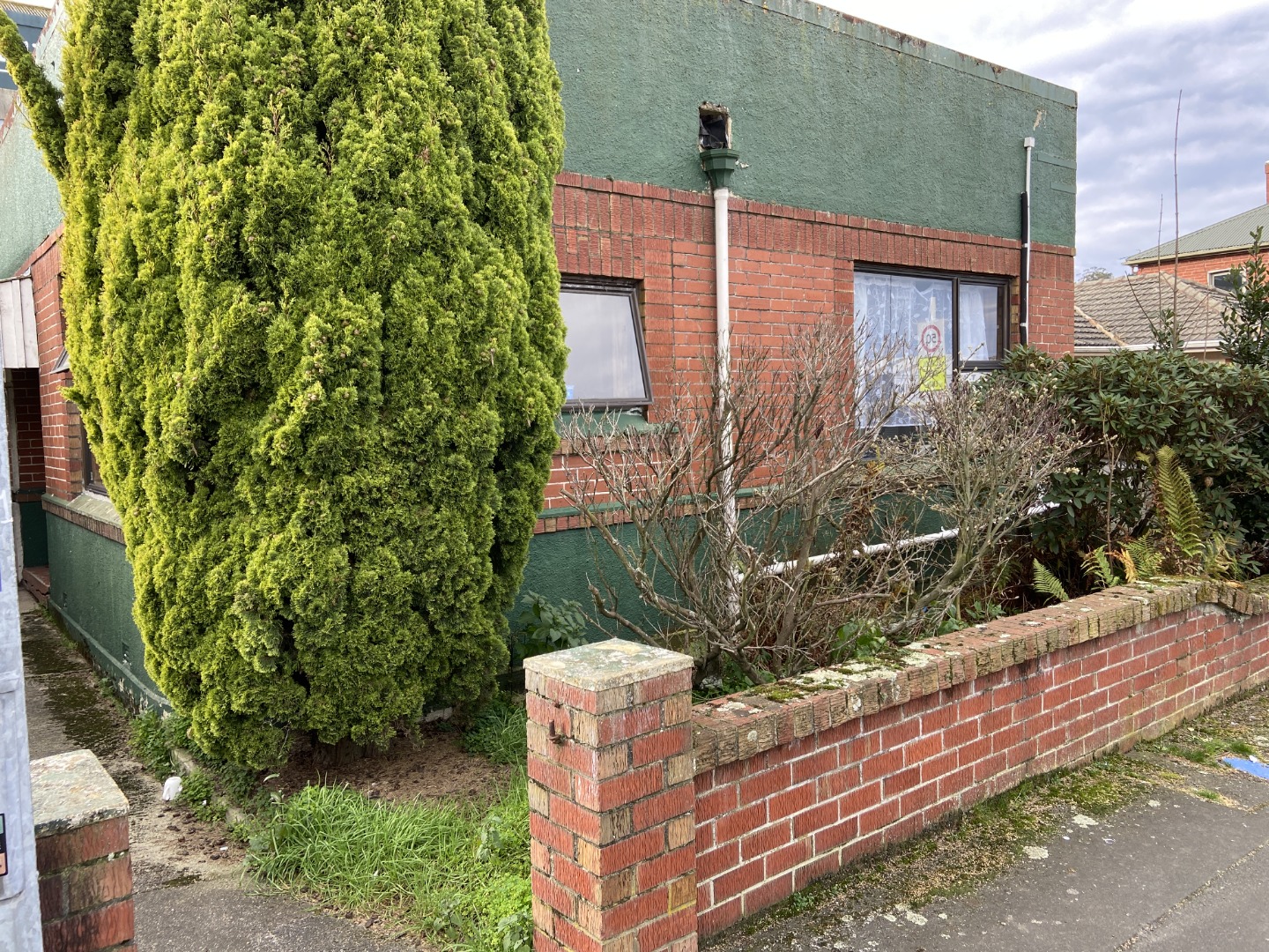 6 Howe Street, North Dunedin
