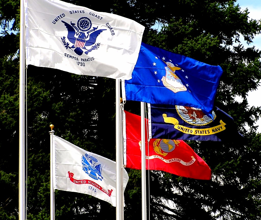 Military Branch Flags | War Memorial Statue Dedication, in m… | Flickr