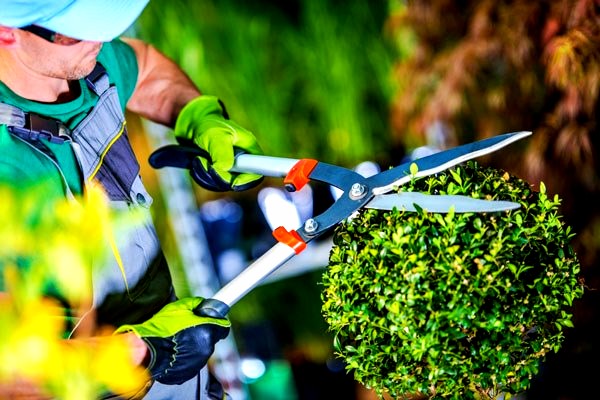 Understanding the administrative, support, waste management and ...