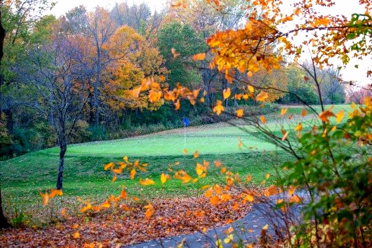 golf course.jpg