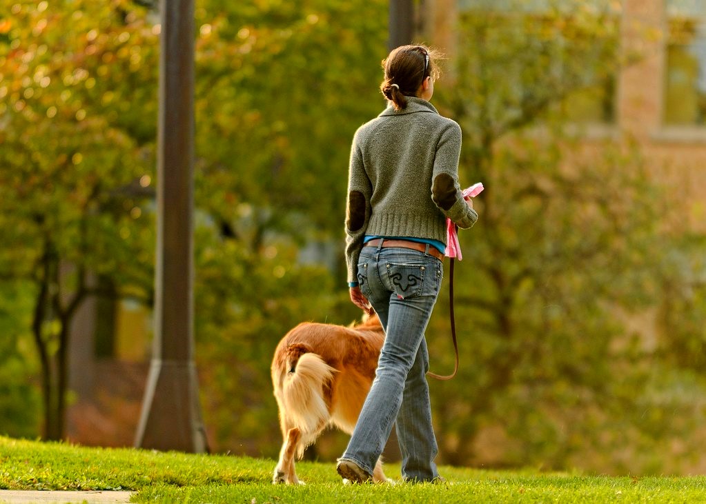 Dog Walker | A lady walking her dog in the park. | niXerKG | Flickr