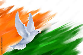 Dove flying on Indian Flag for Indian ...