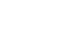 The Y