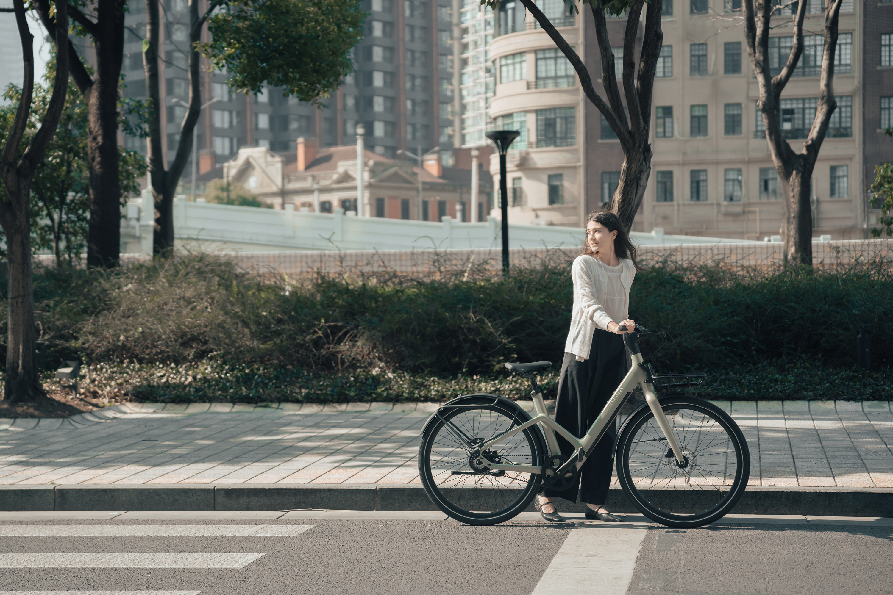 Reany urban elcykel