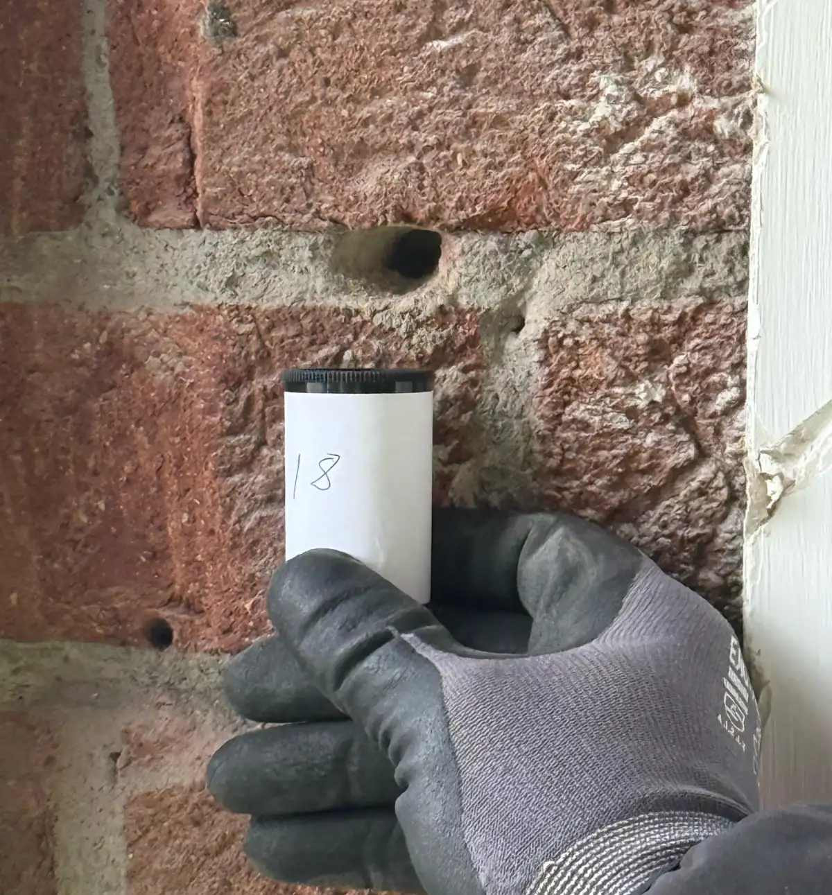 Damp proofing inspection