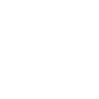 SOC 2 Type 2 Badge