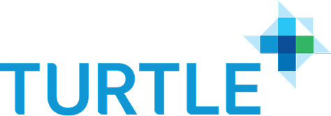 Turtle increases hit rates by 2.8X and grows their top and bottom lines