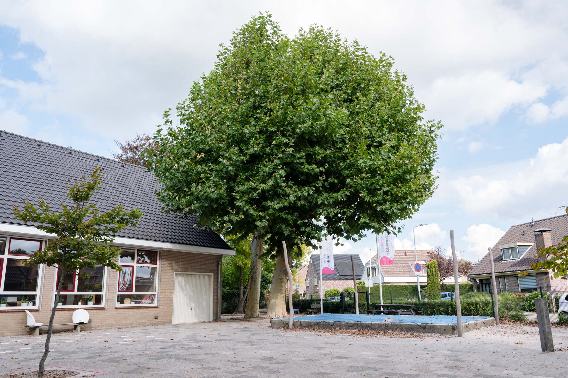 Column: Een systemische blik op de wortels van Blosse 