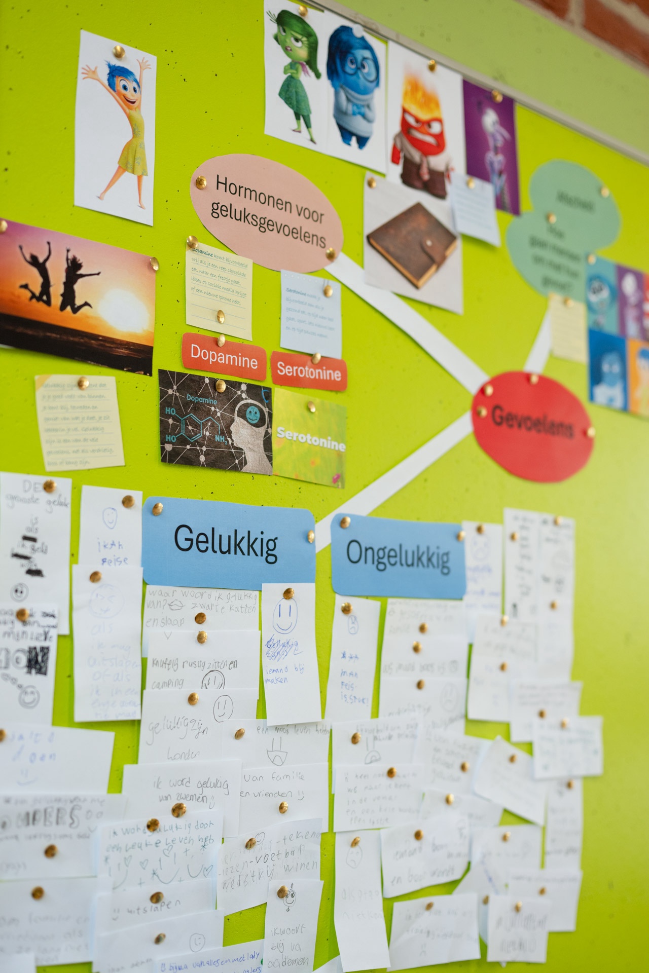 Column: Geen stikstof maar zuurstof in het onderwijs