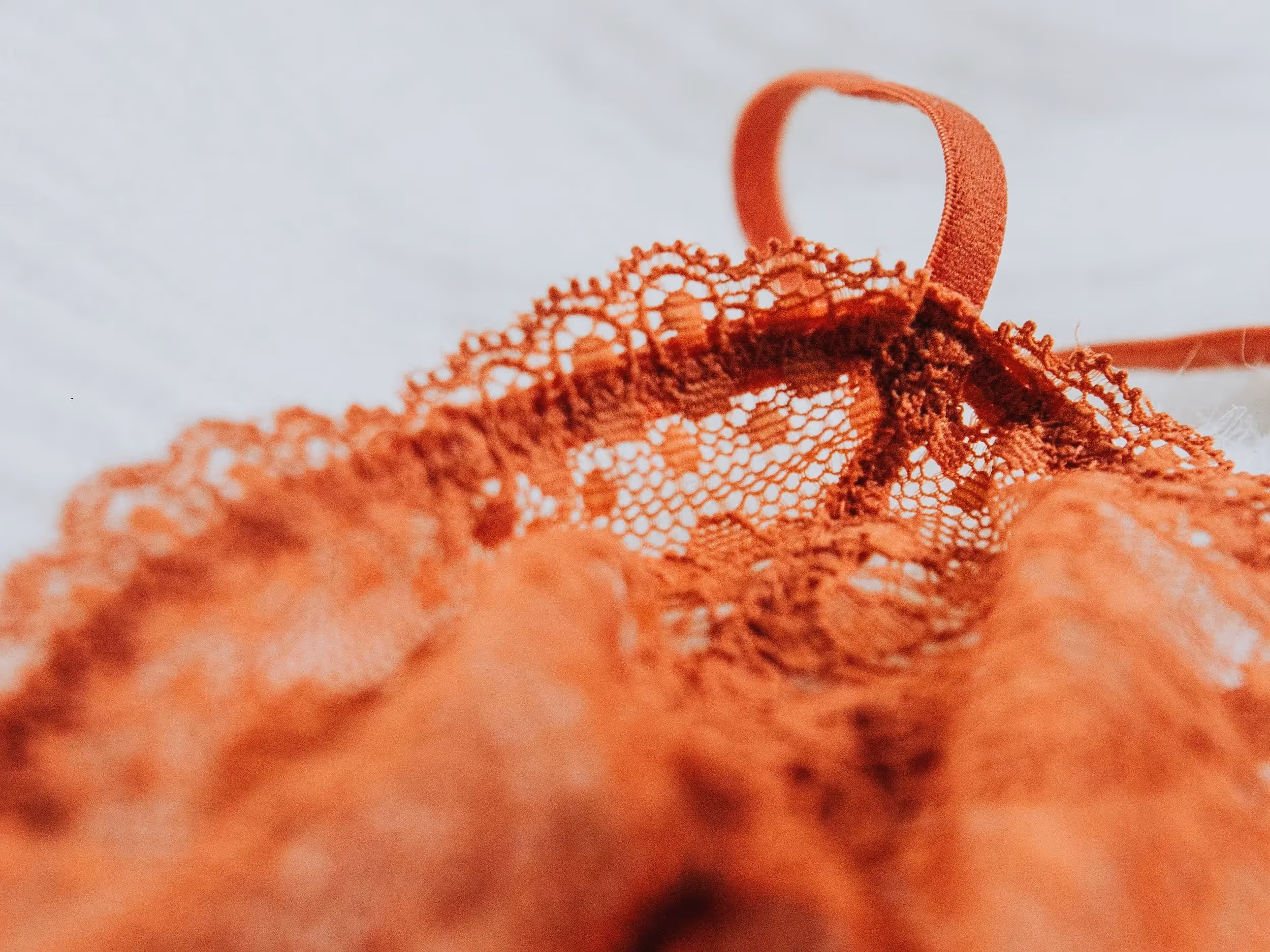 Photo by Maëliss Demaison on Unsplash