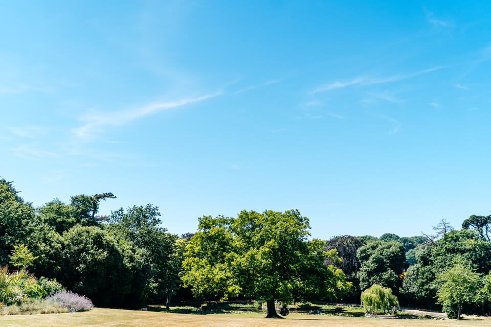 Clevedon-Hall-Wedding-Photography-048.jpg
