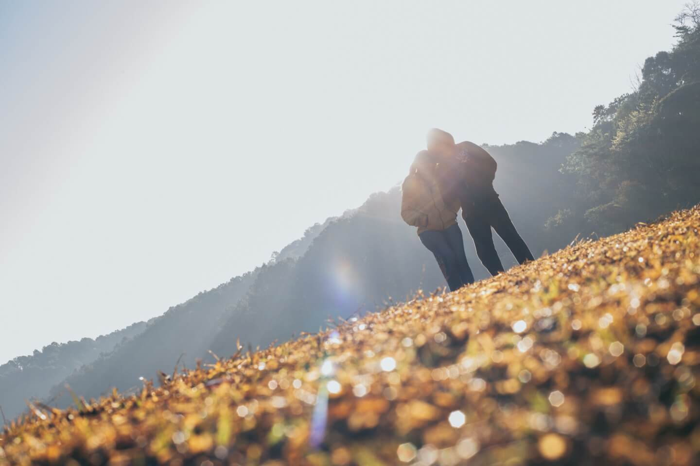 Photo by panitan punpuang on Unsplash