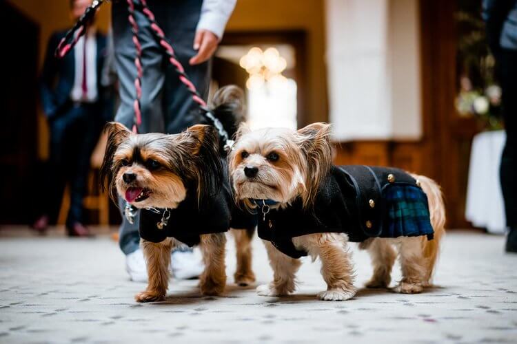 Weekend wedding 18.jpg
