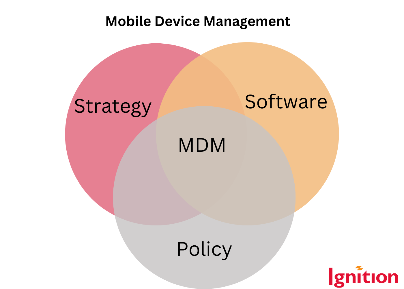 strategy, policy, software