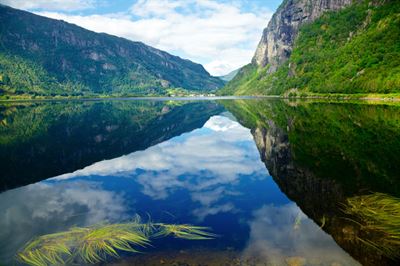 Miljön prioriteras ner av landets småföretagare