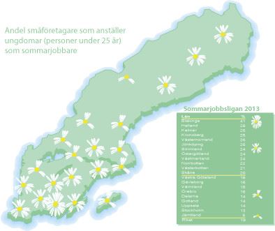 Många hinder för sommarjobb hos småföretagare