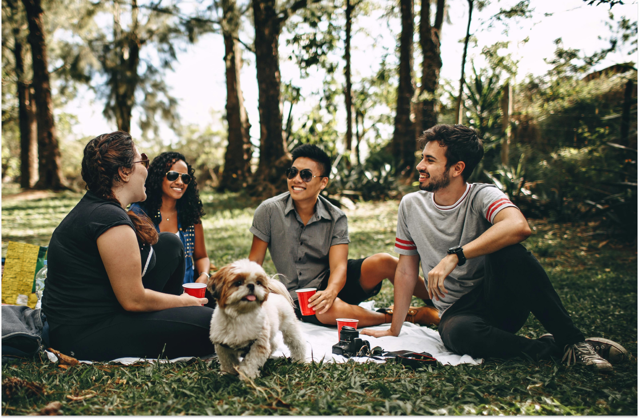 A group of people sat in a park and discussing their epilepsy