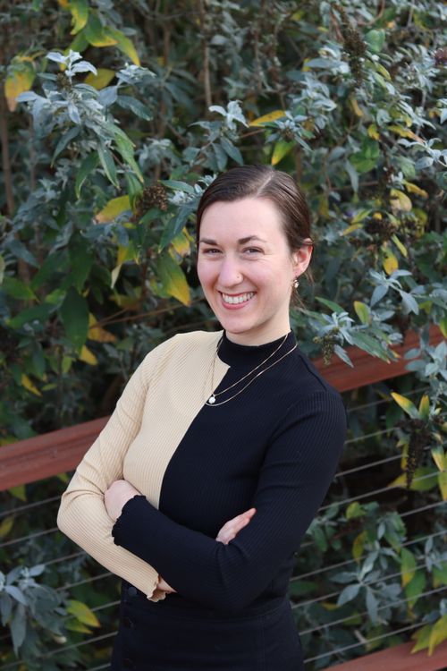 Three cups of broth on wooden board with vegetables made during a corporate wellness event