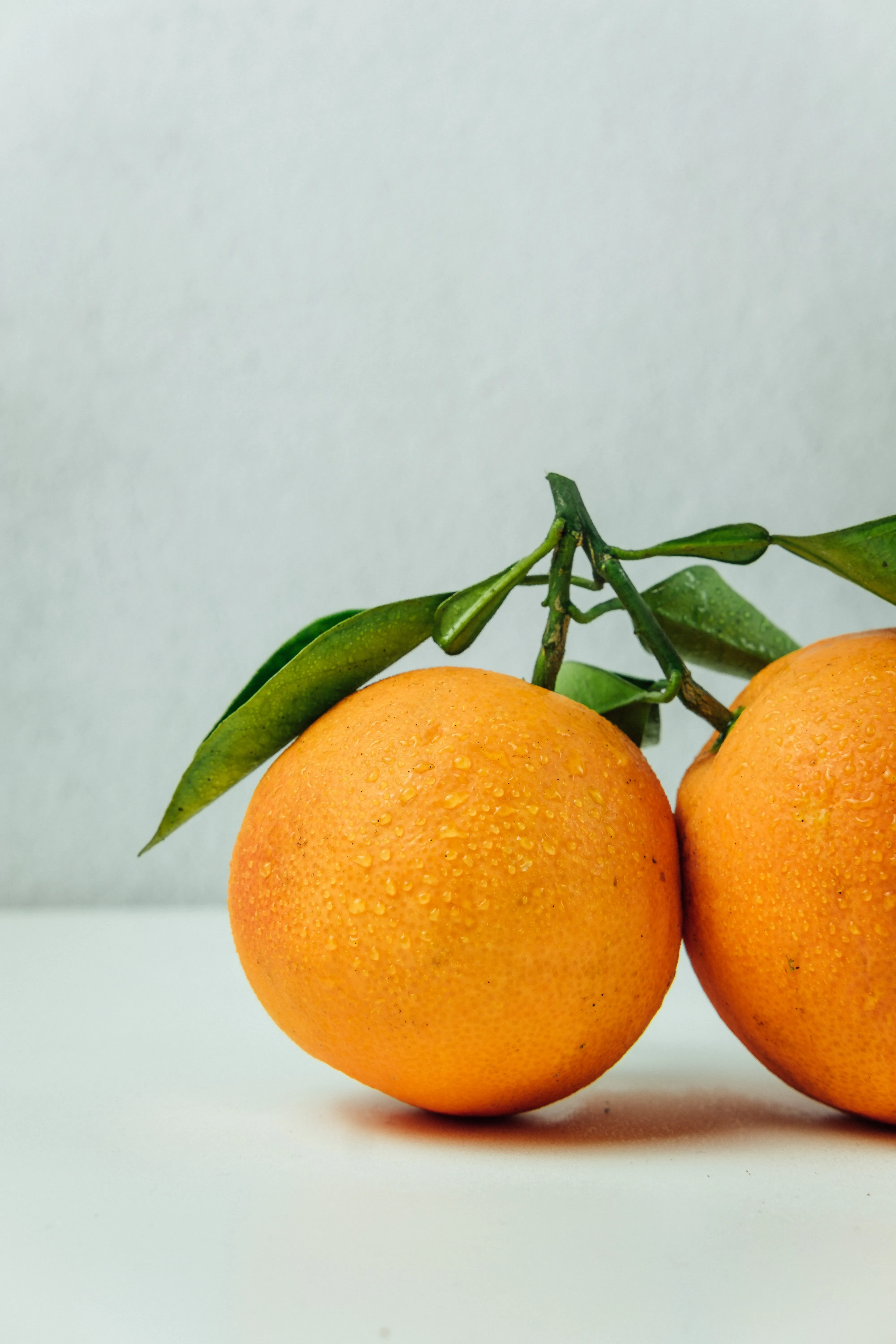 Tangerines on white background as snack for corporate wellness workshop