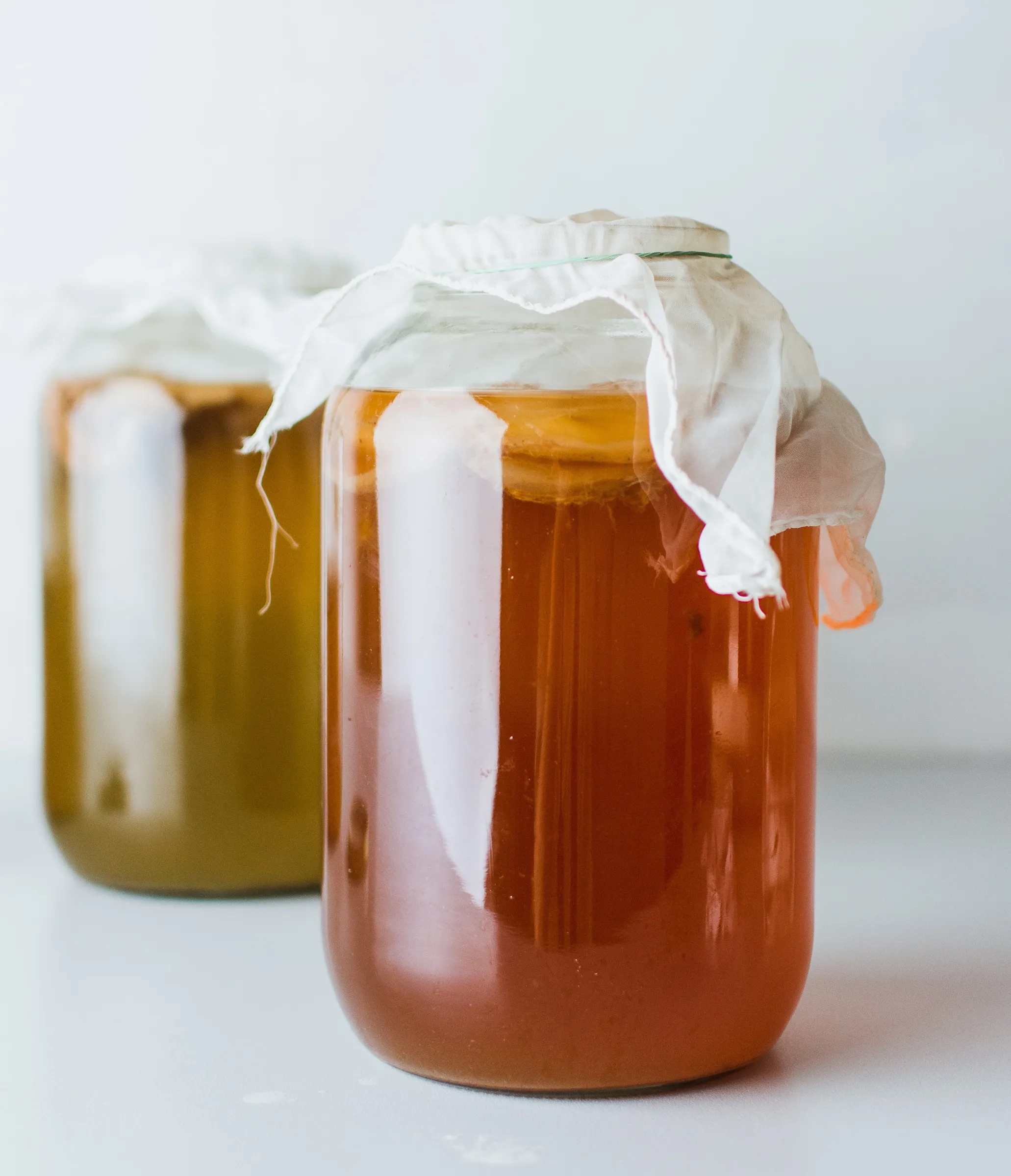 Two kombucha jars with SCOBYs made during kombucha brewing class in Oakland