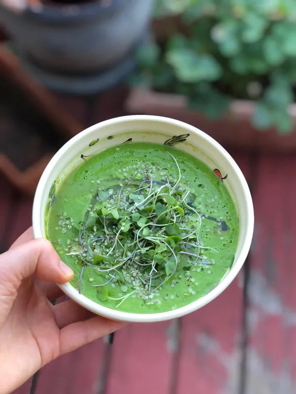 Hand holding a herby gazpacho soup in bowl