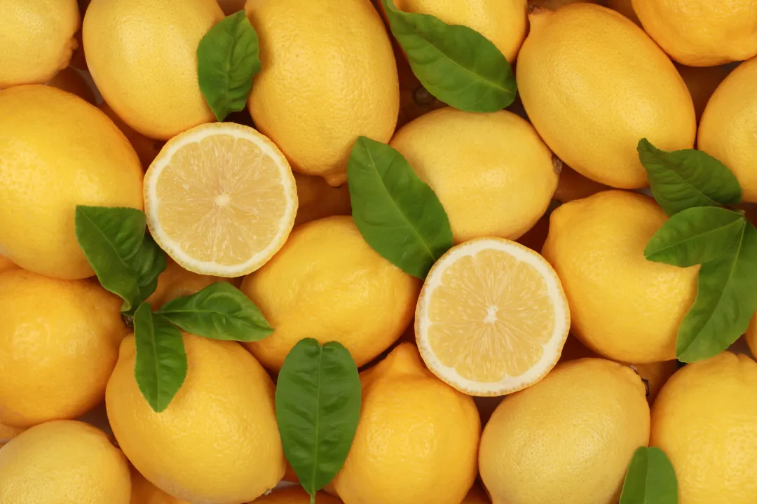 Celebrate Earth Day with a hands-on, family-friendly workshop that teaches zero waste tips and sustainable lemonade-making using the whole lemon. Perfect for corporate earth day events and sustainability initiatives. 