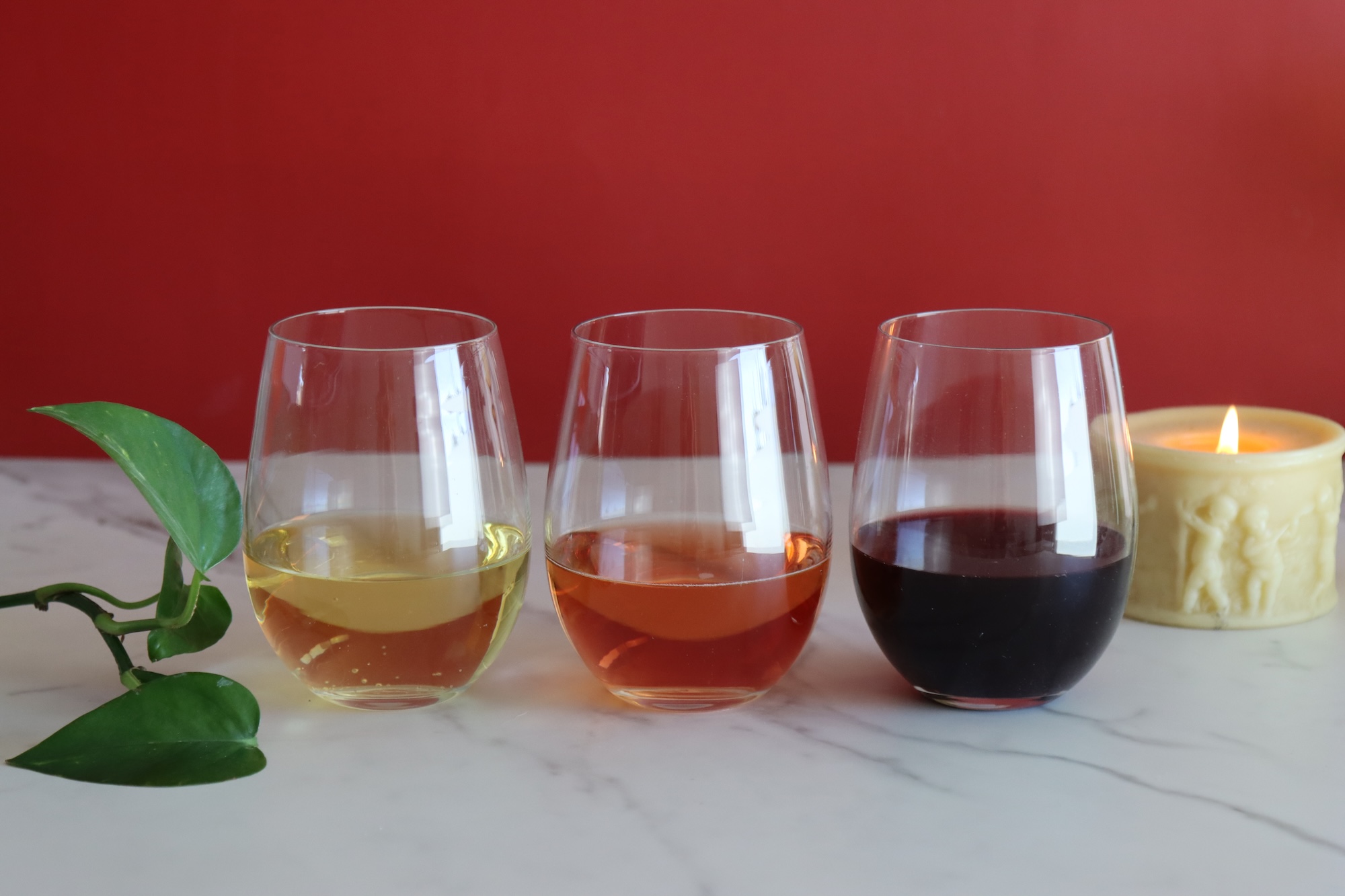 Explore premium non-alcoholic wines and snacks in a guided tasting experience that blends flavor, fun, and wellness.