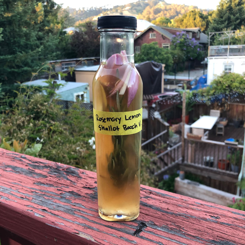 Savory kombucha vinegar with shallots, rosemary, and lemon.