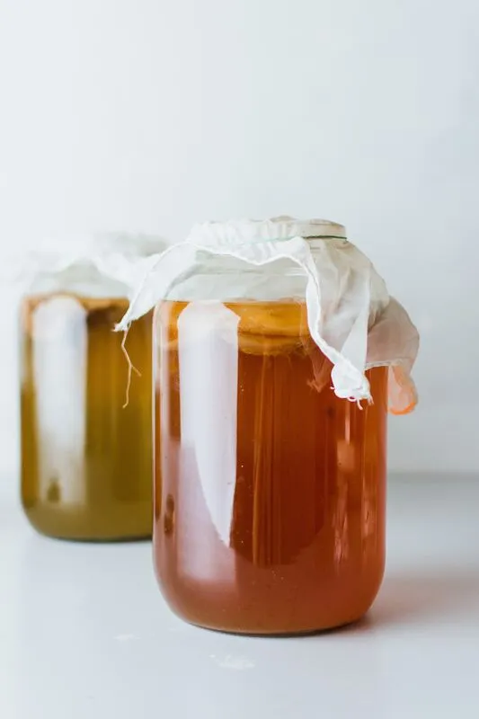 two jars of kombucha with kombucha scobys