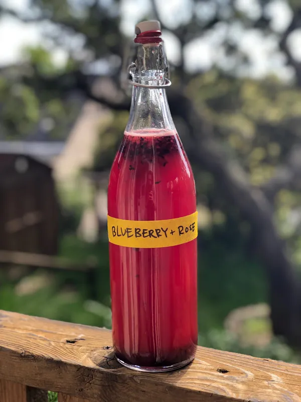 bottle of home brewed blueberry rose kombucha
