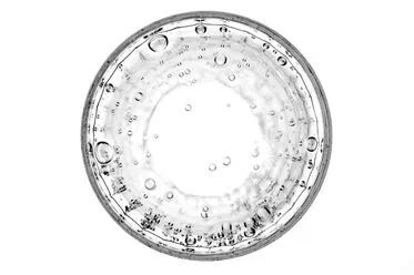 cup of carbonated water