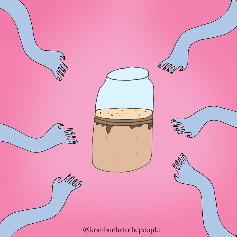 Kombucha illustration art of hands reaching towards jar of kombucha SCOBY