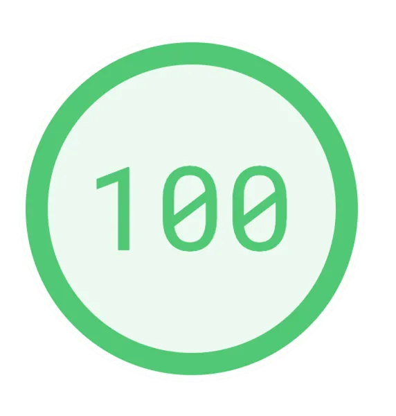 google speed insight 100