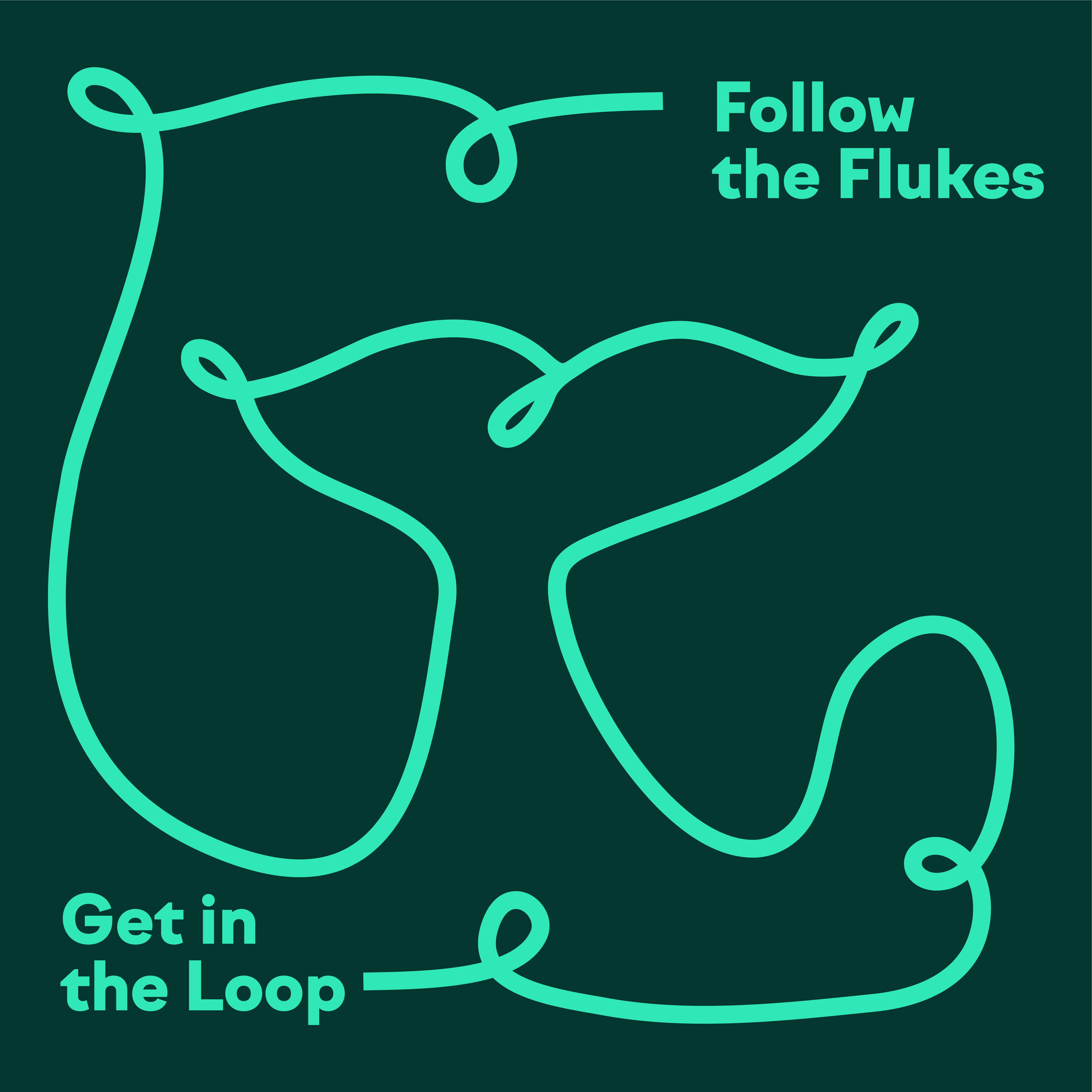 Turquoise line art of a whale tail with text: Follow the Flukes and Get in the Loop on dark background.