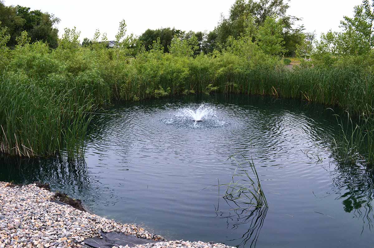 viewing pond