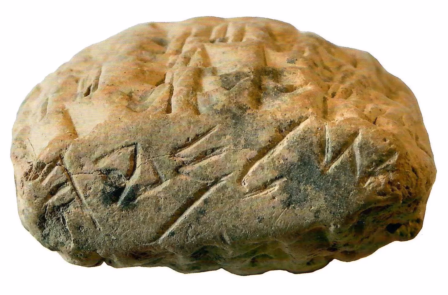 Judéens exilés en Babylonie