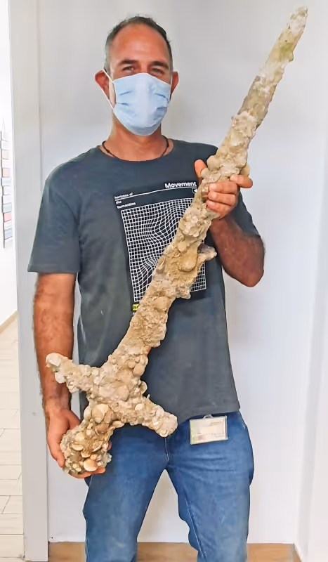 Crusader Period Sword Found in the Mediterranean Sea