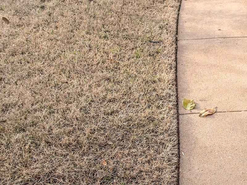 leaves on a clean sidewalk